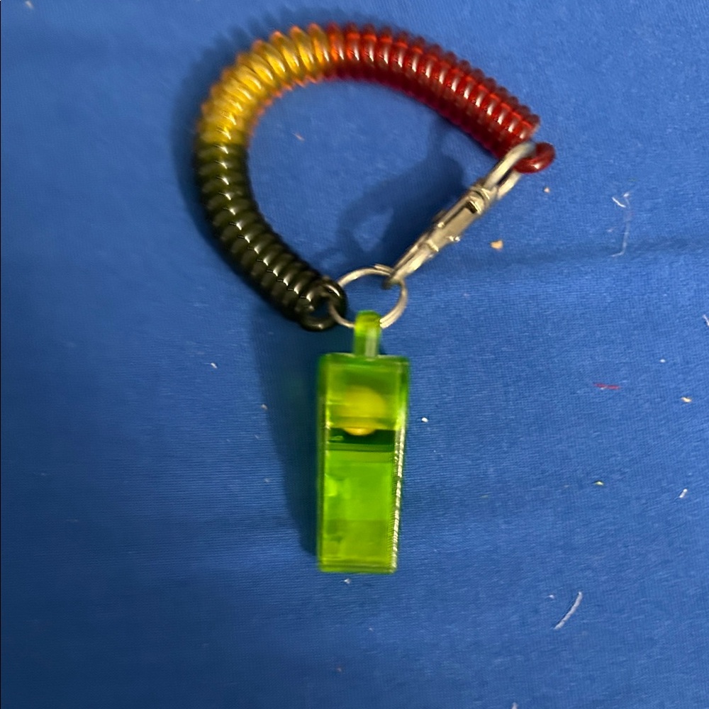 Keychain Accessory - Black - Picture 7 of 7